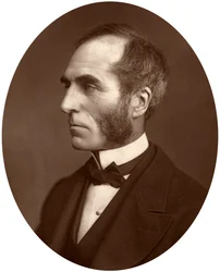 Goldwin Smith, Professore, 1878