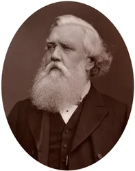 Onorevole Austen Henry Layard DCL, Ambasciatore Britannico a Costantinopoli, 1877