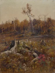 Paesaggio