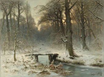 Una serata di gennaio nel bosco dell