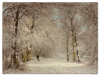 Un sentiero coperto di neve in inverno