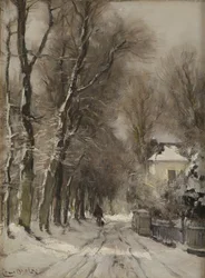 Un sentiero coperto di neve in inverno