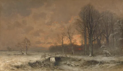 Scena invernale con il sole che tramonta dietro gli alberi