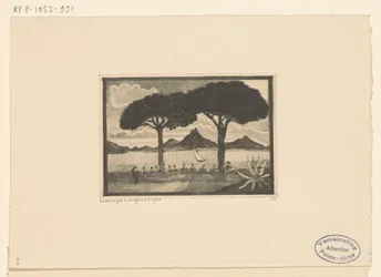 Due alberi