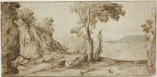 Rocce e alberi sul bordo della collina
