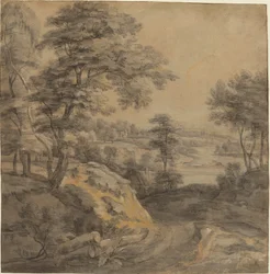 Paesaggio boscoso con una strada