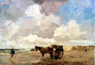 Raccolta di Alghe