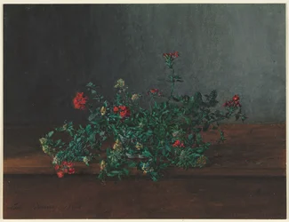 Natura Morta con Fiori Selvatici