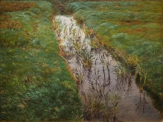 Un fosso, 1850 circa (olio su tela)