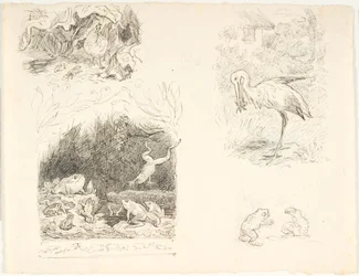 Quattro bozze per illustrazioni per Il rospo, Nuove fiabe e storie di H.C. Andersen