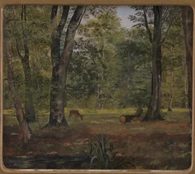 Bosco di Charlottenlund, a nord di Copenaghen