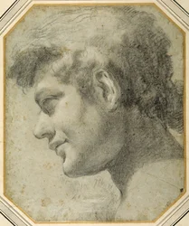 Testa di giovane di profilo, guardando in basso