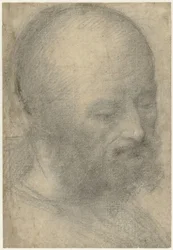 Testa di un vecchio con barba