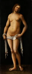 Venere