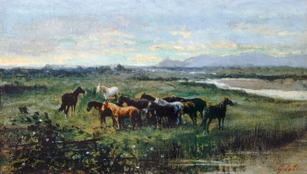 Cavalli selvaggi (circa 1870)