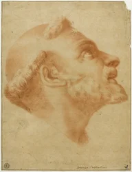 Testa rovesciata di San Domenico