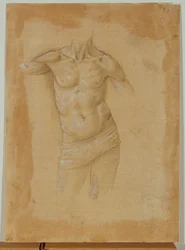 Busto di uomo seminudo, senza testa ...