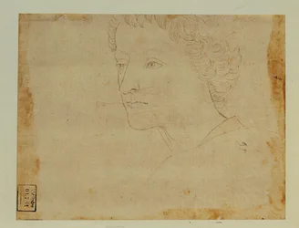 Ritratto di ragazzo con capelli ricci, di tre quarti verso sinistra ...