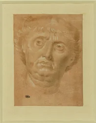 Ritratto di uomo, volto pieno, occhi rivolti a sinistra ...