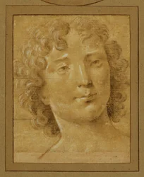 Studio di un uomo con capelli lunghi e ricci ...