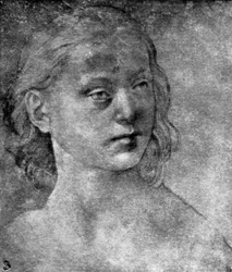 La testa di una giovane donna