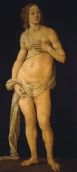 Venere