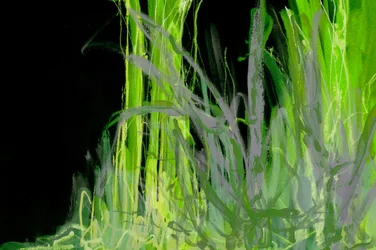 Fogliame verde astratto