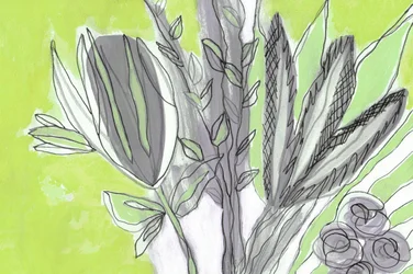 Prodotti botanici freschi e verdi