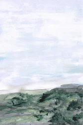 Colline verdi avvolte dalla nebbia