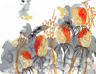 Banksia arancione con ragni