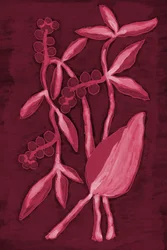 Seed Pod 1 Rosso ciliegia