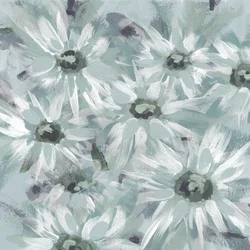 Margherite blu chiaro