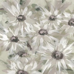 Morbidi fiori di margherita