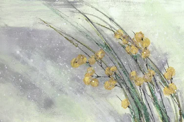 Delicate fioriture gialle