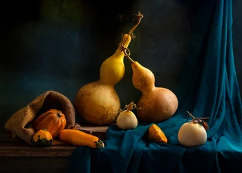 Natura morta con zucche autunnali