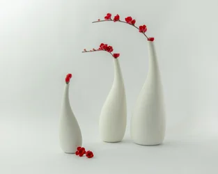 Vasi rossi e fiori