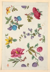 Disegno floreale per tessuto stampato