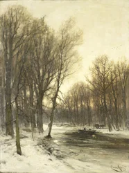 Veduta pomeridiana di boschi innevati