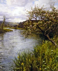Primavera