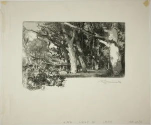 Mezzogiorno, sotto gli alberi