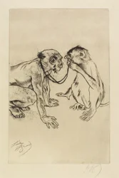 Anatomia comparata