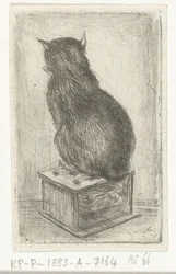 Gatto seduto su uno sgabello