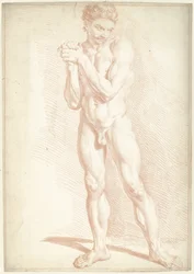 Nudo maschile, in piedi