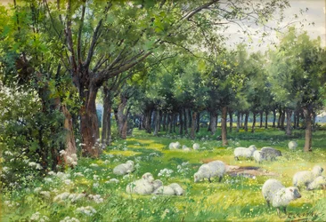 Pecore in un frutteto in primavera
