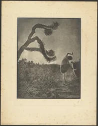 La danza Apache