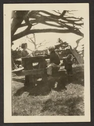 [Bambini a un tavolo da picnic]