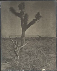 [Ballerina a Joshua Tree]