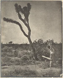 [Ballerino al Joshua Tree]