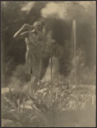 [Ballerina in giardino]