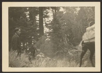 [Figure in un paesaggio boschivo].